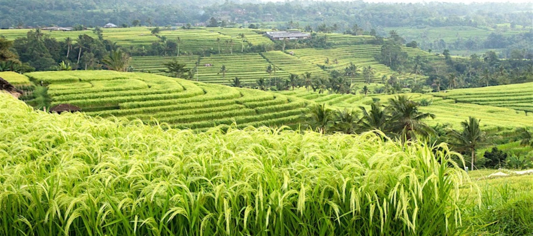 Sudanita Homestay Bali